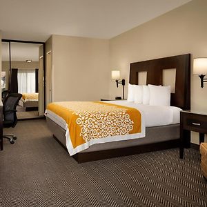 Classic King Room